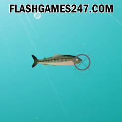 Shooting Fish - Jeu Tir